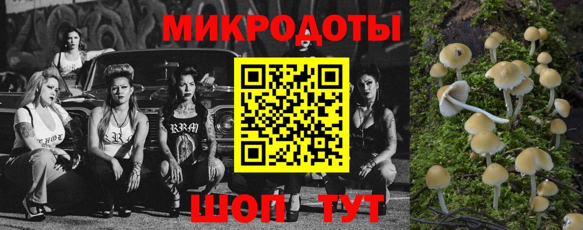 Галлюциногенные грибы Magic Shrooms Ангарск