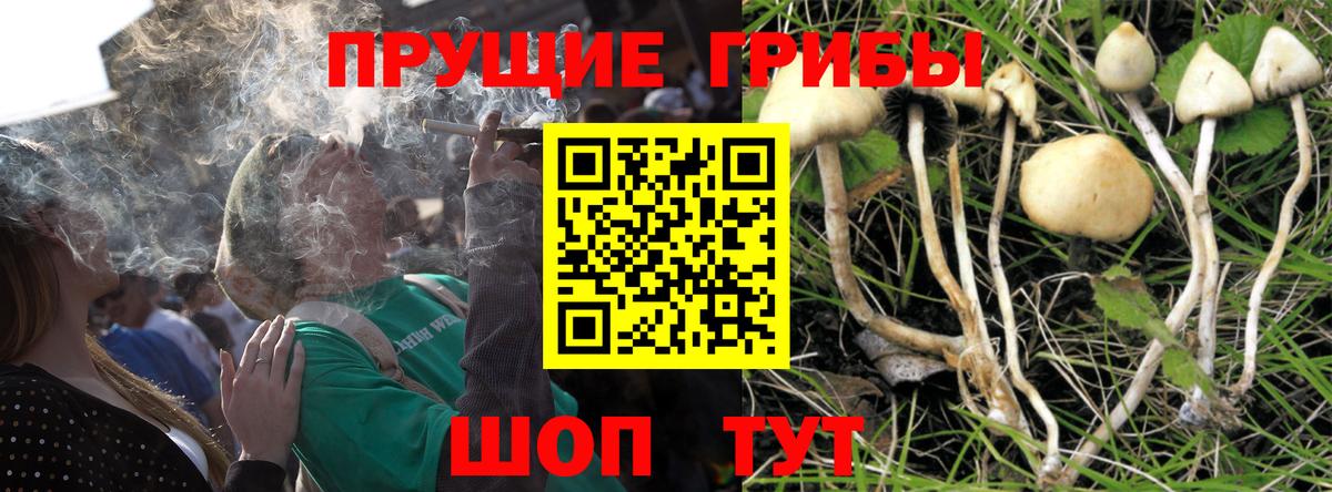 Ангарск  Галлюциногенные грибы прущие грибы  Псилоцибиновые грибы ЛСД  Вход с VPN 